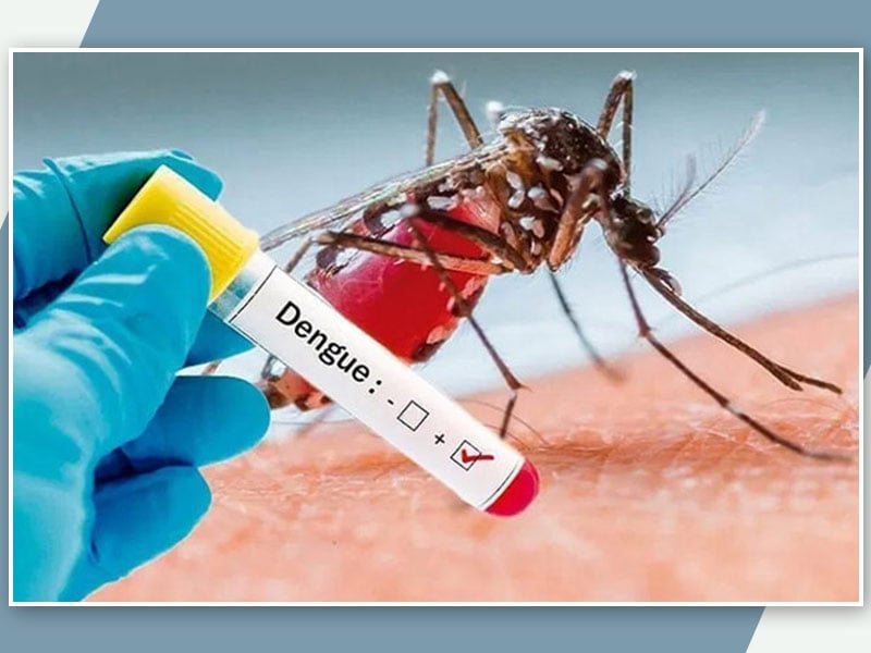 photo of Dengue fever